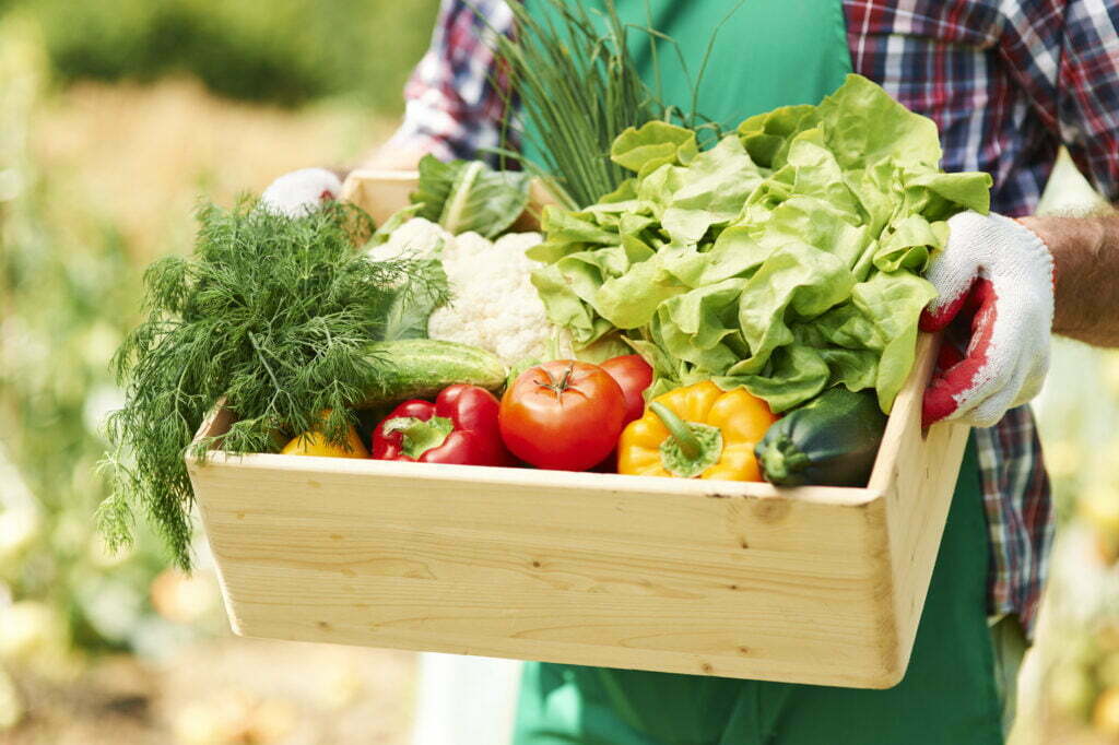żywność ekologiczna, warzywa, produkty ekologiczne, dieta